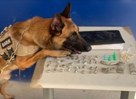 Ação da PM com cão farejador resulta na apreensão de drogas em Santa Cruz Cabrália