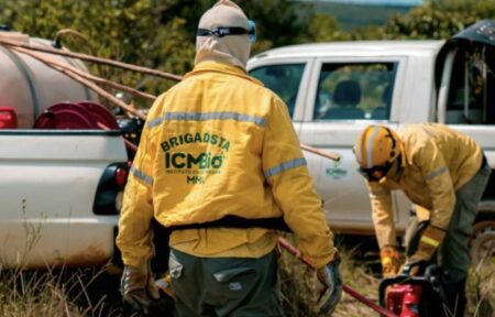 ICMBio abre concurso para agente temporário em Porto Seguro; saiba detalhes 