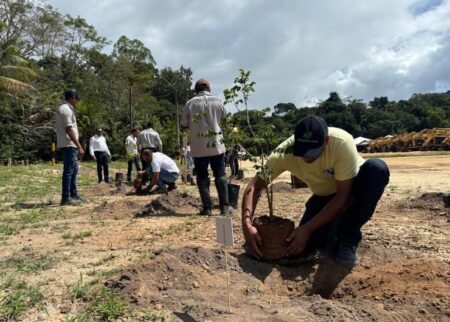 Suzano promove plantio de ipês amarelos em Teixeira de Freitas em apoio ao setembro amarelo