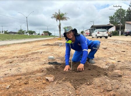 Embasa e Prefeitura de Mucuri realizam plantio de Ipês em Itabatã