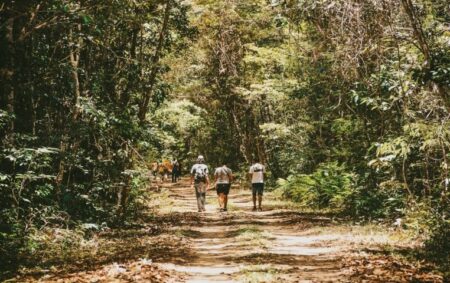 ICMBio aprova novo plano de manejo para o Parque Nacional do Descobrimento