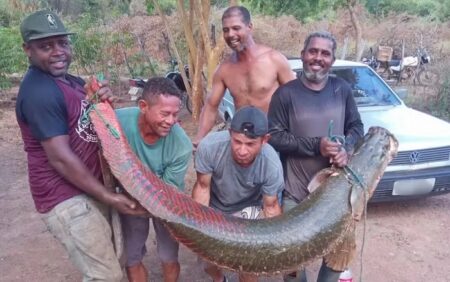 Pirarucu de 80 kg e mais de 2 metros é capturado por pescadores em rio na Bahia