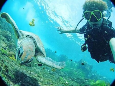 Empresa do Extremo Sul conquista certificação para mergulho em mar aberto