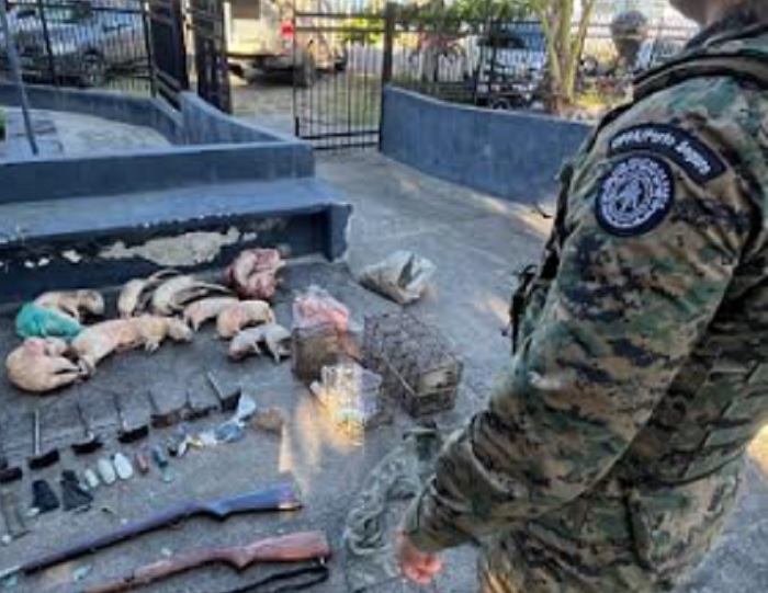 Dois são detidos por caça ilegal e posse irregular de armas em Prado Dois são detidos por caça ilegal e posse irregular de armas em Prado