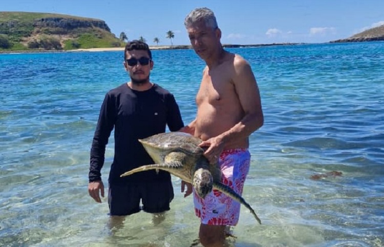 Com 180 ninhos de tartarugas monitorados, Mucuri se destaca em evento de conservação marinha Com 180 ninhos de tartarugas monitorados, Mucuri se destaca em evento de conservação marinha