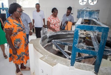 Farinheira sustentável é inaugurada em comunidade rural de Mucuri