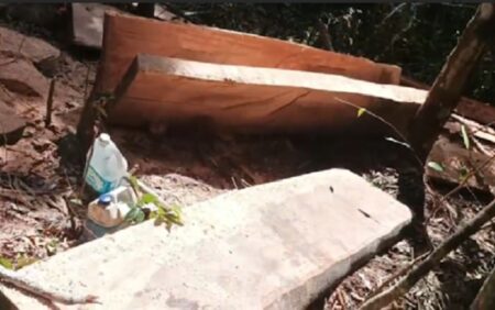 Desmatamento ilegal é flagrado em Santo André, distrito de Santa Cruz Cabrália