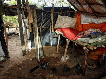 12 empregadores baianos entram na lista do trabalho escravo