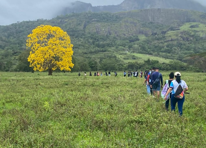 Trilha ecológica em Itamaraju promove aprendizado e consciência ambiental entre estudantes Trilha ecológica em Itamaraju promove aprendizado e consciência ambiental entre estudantes