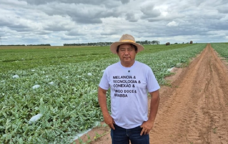 Produtor de Teixeira de Freitas amplia estrutura e aposta em tecnologia para fortalecer cultivo de melancia Produtor de Teixeira de Freitas amplia estrutura e aposta em tecnologia para fortalecer cultivo de melancia