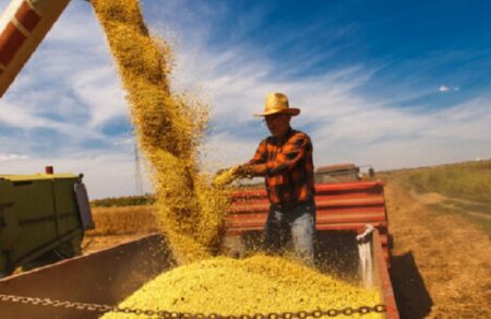 PIB do agronegócio baiano cresce 8,1% no 3º trimestre de 2025