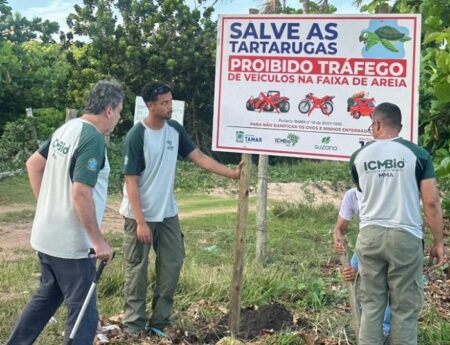 Parceria reforça proteção das tartarugas marinhas no litoral de Mucuri