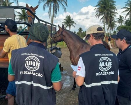 Concurso da Adab tem vagas para o Extremo Sul da Bahia e salários de até R$ 7,4 mil
