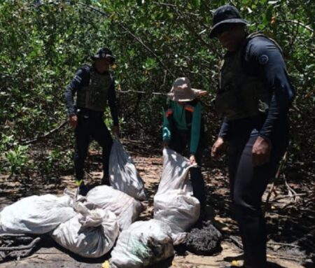 Operação em Belmonte resgata 400 caranguejos durante período de defeso