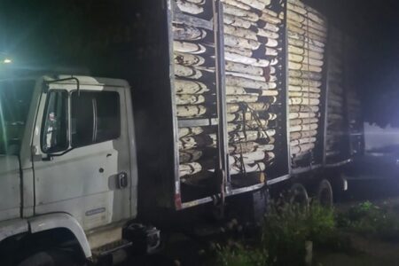 Carga de madeira furtada é recuperada pela PM em distrito de Itabela