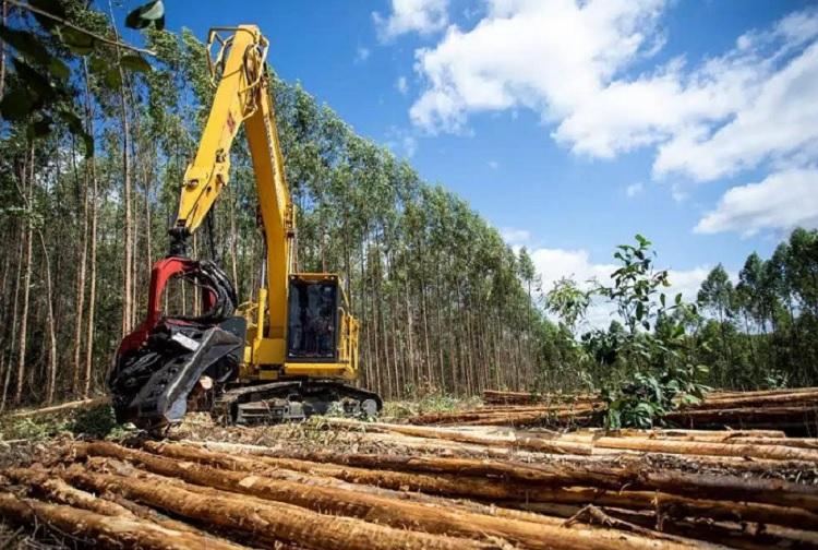 Reciclagem de baterias reduz resíduos em operações florestais no Extremo Sul da Bahia Reciclagem de baterias reduz resíduos em operações florestais no Extremo Sul da Bahia